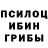 Псилоцибиновые грибы GOLDEN TEACHER Vitalij Petrovich