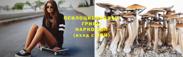 прущая мука Майский
