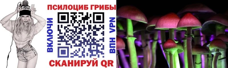 MEGA как зайти купить наркоту darknet Telegram Галлюциногенные грибы Psilocybe Михайловск