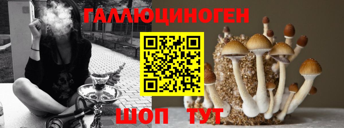 где можно купить   Галлюциногенные грибы MAGIC MUSHROOMS  Вход с VPN  Галлюциногенные грибы Psilocybine cubensis  Михайловск 