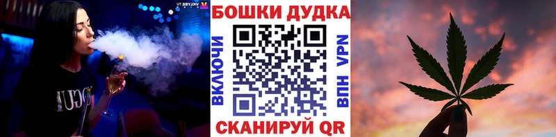 Конопля марихуана  как найти   Михайловск 